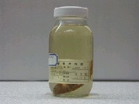 藏品(粗鱗鮻)的圖片